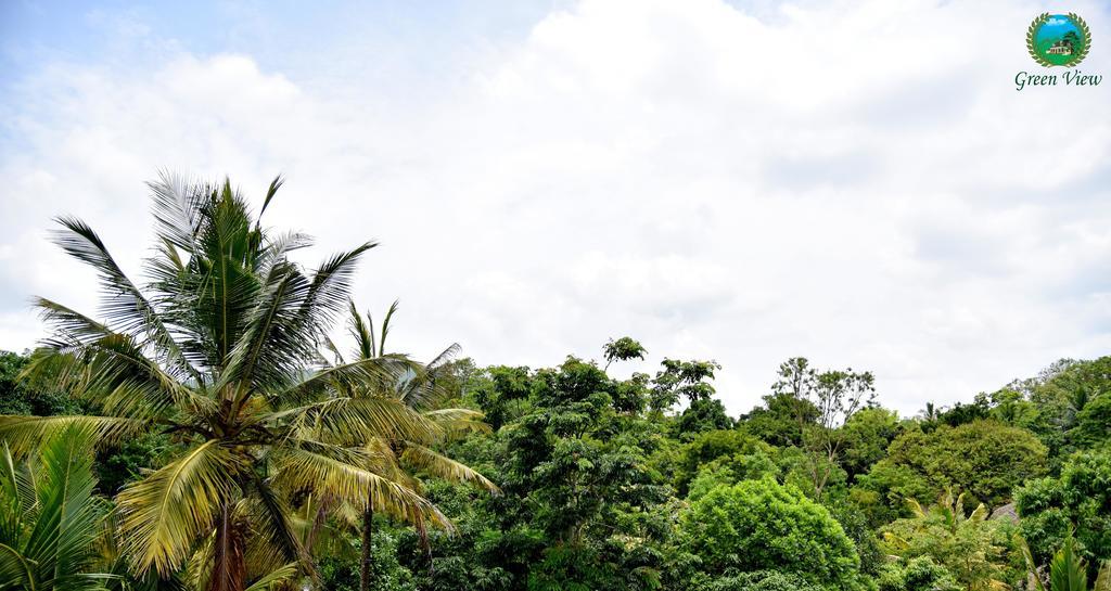 Green View Thekkady Exterior photo